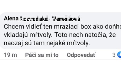 „Chci vidět ten mrazící box, jak do něj vkládají mrtvoly,“ psala Slovenka Alena. Policie ji poslala pomáhat do nemocnice v Nitře
