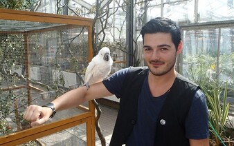 „Ideální je randit se ženou, nikoliv s oversize blobem“. Redaktor Metra radí ženám, co nosit. Odpovídají mu otevřeným dopisem