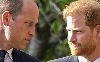 „Musí plnit své povinnosti.“ Královna Alžběta chtěla, aby William a Harry šli do války