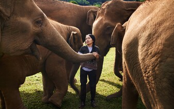 „Ten slon si odpočine, až zemře.“ Mluvili jsme se ženou, která v Thajsku zachraňuje slony před krutostmi turismu 