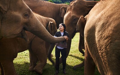 „Ten slon si odpočine, až zemře.“ Mluvili jsme se ženou, která v Thajsku zachraňuje slony před krutostmi turismu 