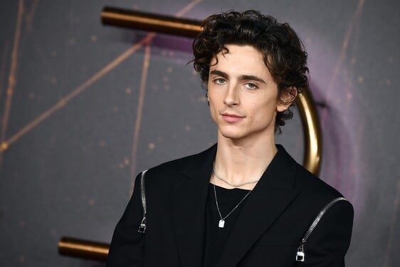 Timothée Chalamet si získal srdce mnohých z nás. Uhádneš, kolik je mu let?