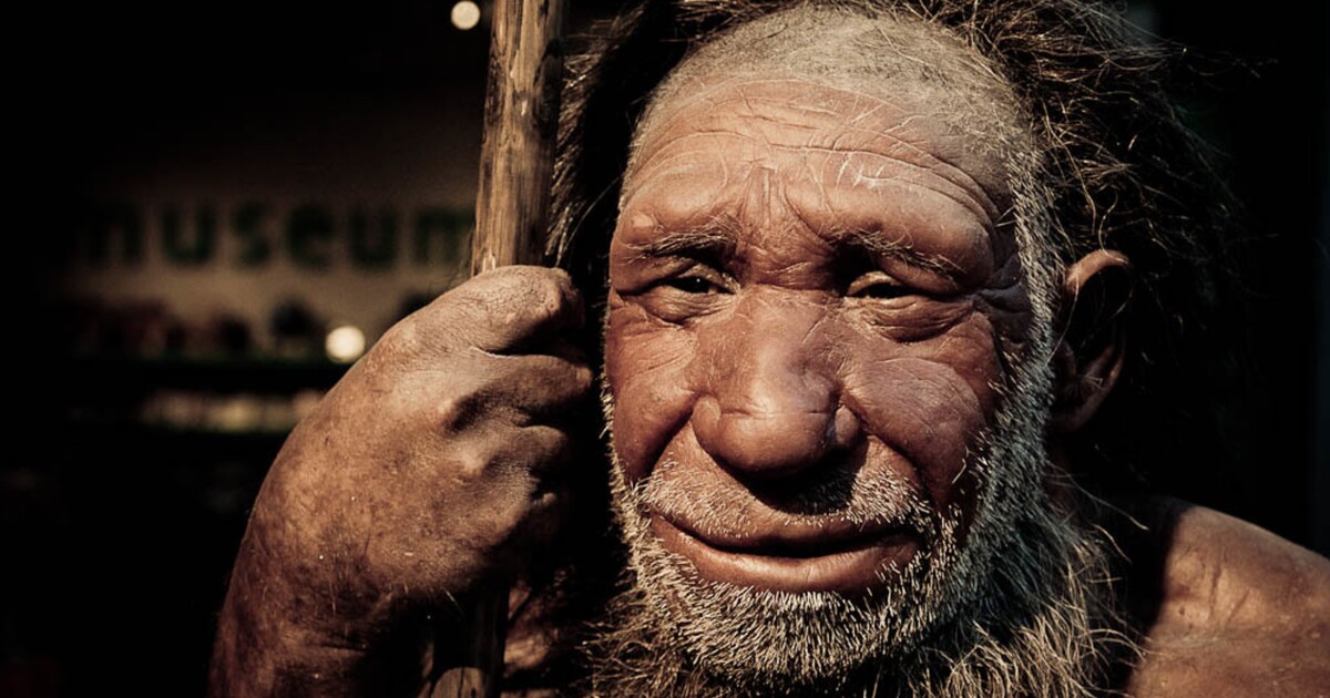 Užívali neandrtálci drogy? Vědci našli malý, ale významný důkaz