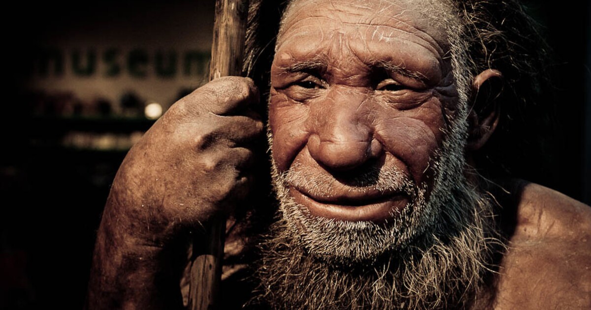 Jsi potomkem neandrtálce? Vědci řekli, podle čeho se to dá zjistit