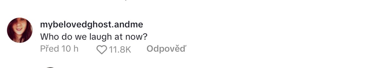 Američané byli na TikToku častým terčem vtípků.