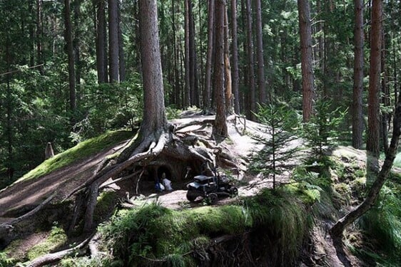 Ze kterého rodinného filmu je tato scéna v lese?