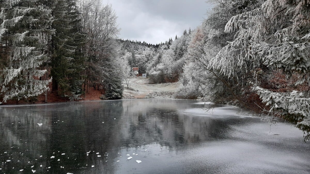 Jazero Šachtička obľúbené medzi ľadovými medveďmi.