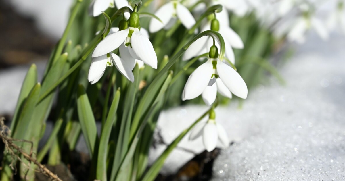 Ráno bude zima. ČHMÚ vydal výstrahu před mrazem