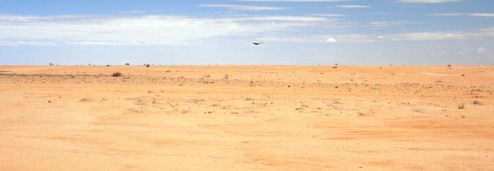 Sahara se zvětšila o 10 procent a lidem mizí úrodná půda. Budoucnost přinese klimatické uprchlíky