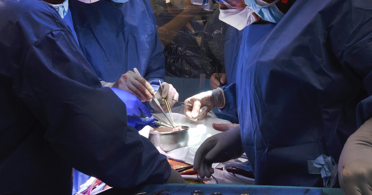 Lékařům se povedl unikátní kousek. Z Košic převezli stále tlukoucí srdce až do Prahy