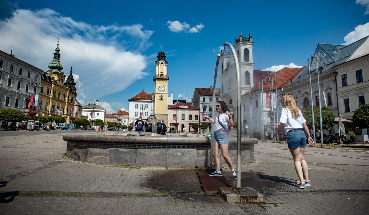 rozprašovačosviežovačletoteplo