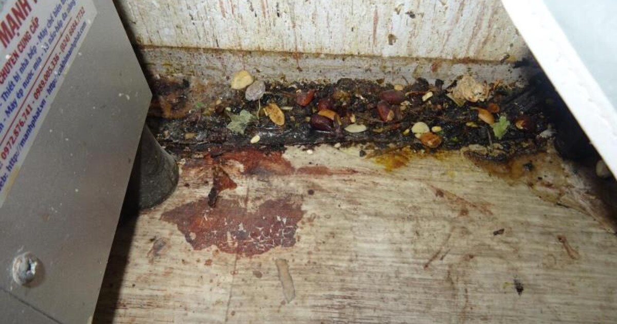 GALERIE: Humus v pražské tržnici Sapa. Na inspektory čekal myší trus i plísně