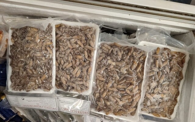 Uvařená ptačí těla s hlavou a larvy bource morušového. Prodejcům na tržnici v Brně hrozí mastná pokuta