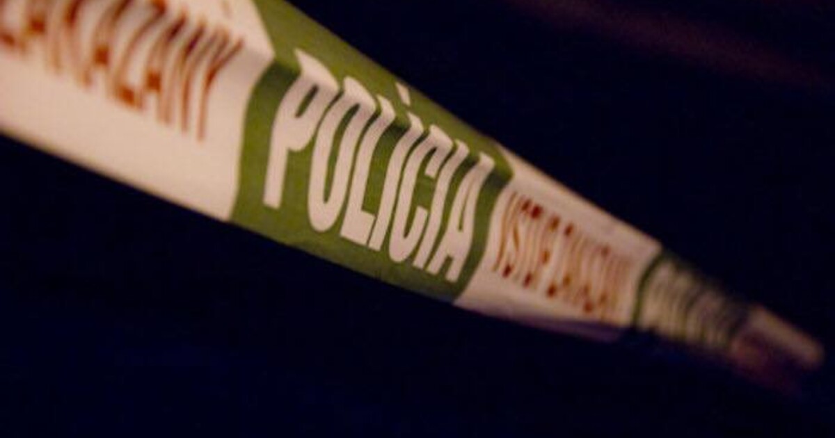 Devatenáctiletý Slovák stoupal na hlavu svému nevlastnímu synovi. Chlapec zemřel