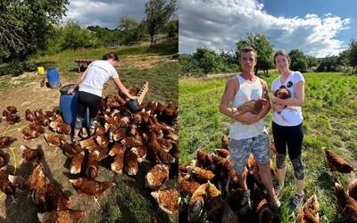 Lucka a Frenky postavili v Kožanoch farmu: Pani nadávala na cenu vajec, objednala si ale dvojnásobok (Reportáž)