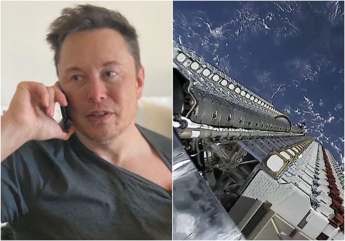 Musk