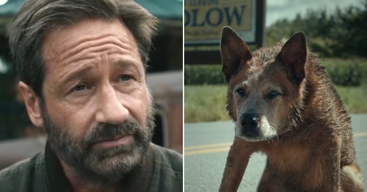 Co se odehrávalo před Řbitovem zviřátek? To prozradí nový krvavý horor