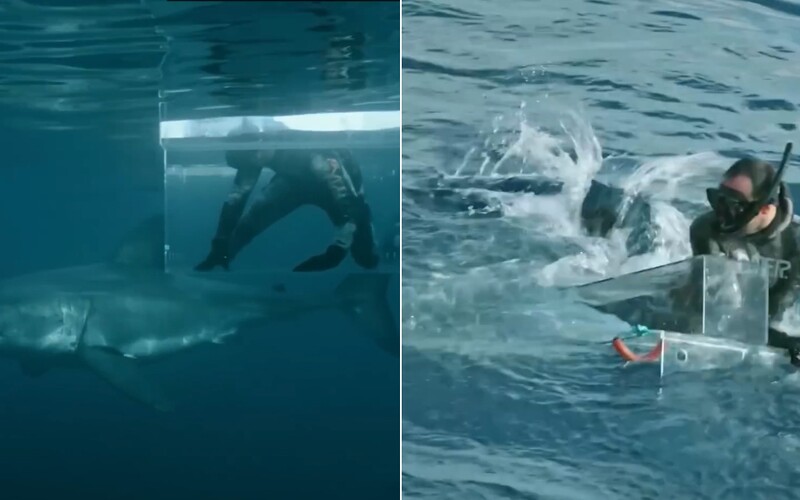 VIDEO: 5-metrový žralok takmer zabil potápača počas nakrúcania dokumentu.
