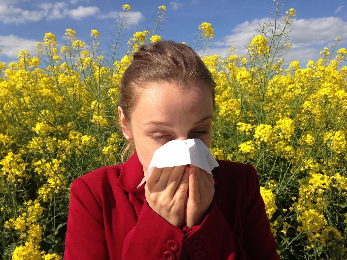 alergia na peľ, alergia, peľ, jar