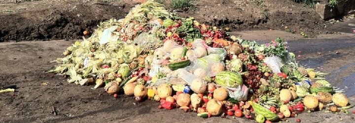 Do koše vyhodíme 1,6 miliardy tun potravin, zatímco 815 milionů lidí hladoví. Jak omezit plýtvání jídlem?