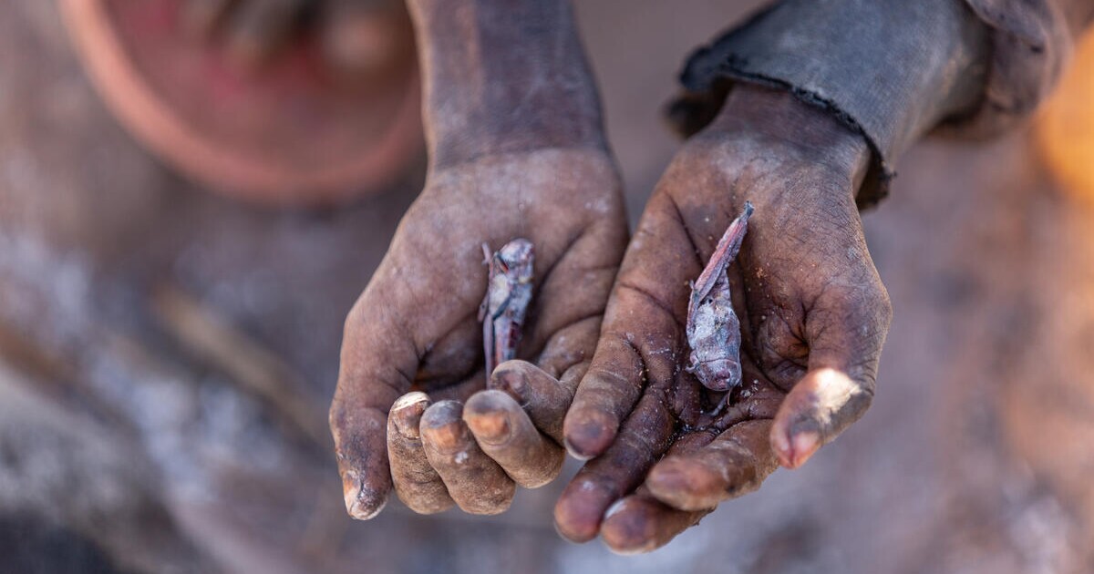 OSN varuje před hladem na Haiti, v Súdánu a regionu Sahel