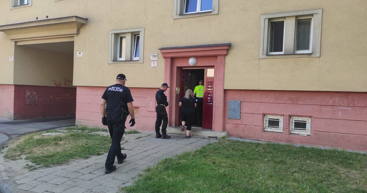 Karvinská policie udělala ranní šťáru ve vybraných bytech. Pochlubila se na sociálních sítích a sklízí kritiku