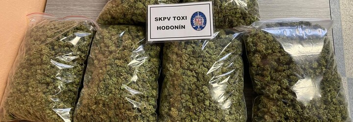 Policie na Hodonínsku odhalila 10 pěstíren marihuany. Osmi lidem hrozí až deset let vězení