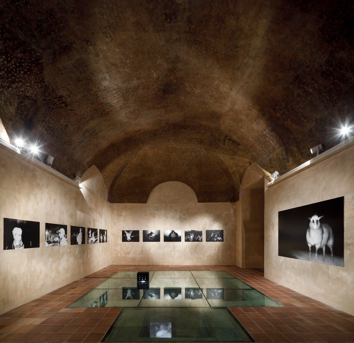 Kateřina Simerová: V temnotách