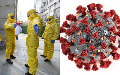 WHO vyhlásila pre koronavírus stav globálnej núdze.