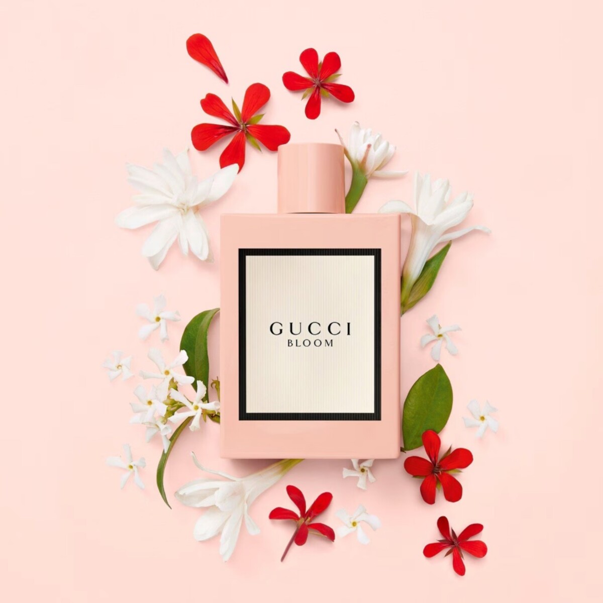 gucci bloom