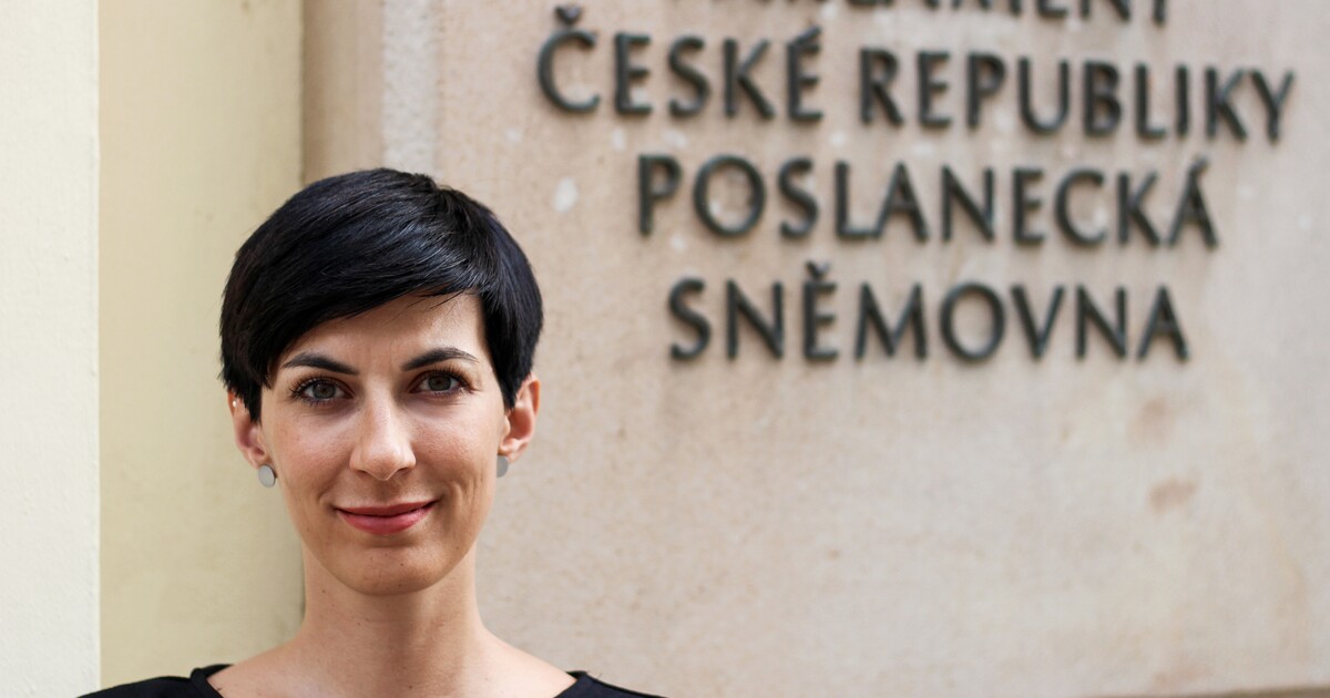 Víme, že nemáme hlasy, jde o politické gesto, míní Vondráček k návrhu odvolat Pekarovou Adamovou z čela Sněmovny