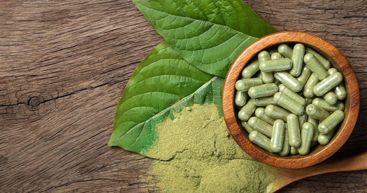 Kratom v Česku dostává jasná pravidla. Co se mění a jak to ovlivní ceny i dostupnost?