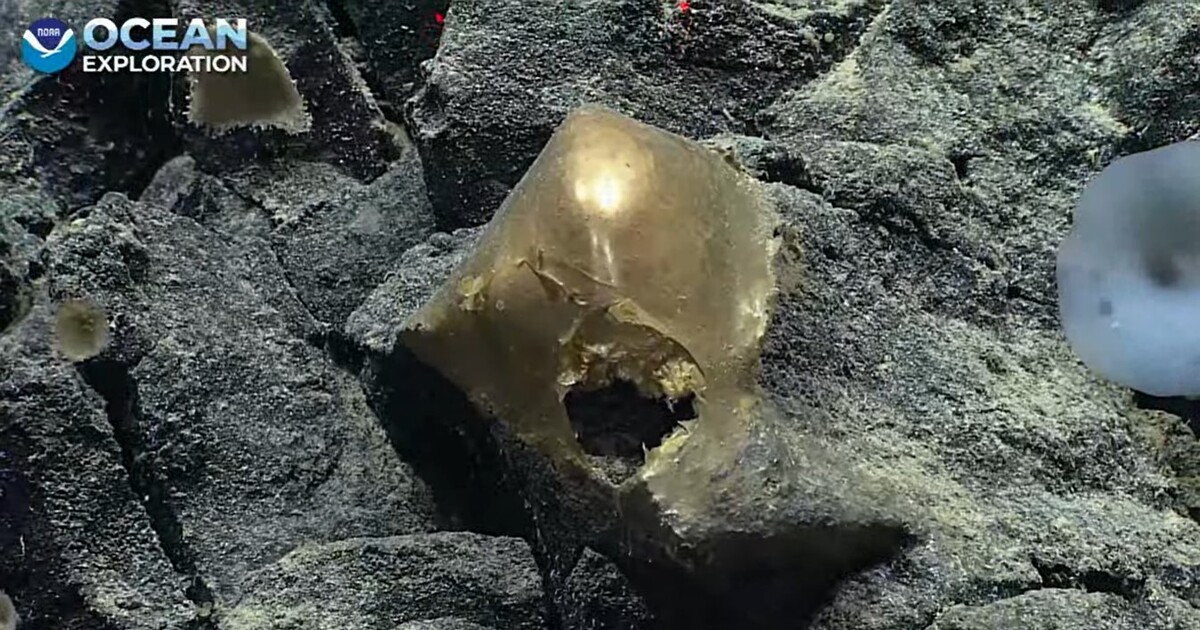 VIDEO: Jako začátek hororu. Na dně oceánu se našla záhadná zlatá koule s otvorem