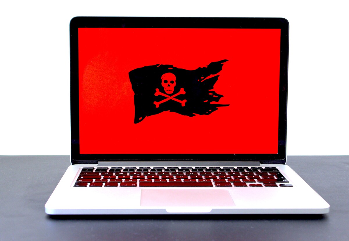 pirat, hacker