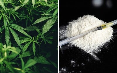 Zo závislosti od drog sa v roku 2020 liečilo menej ľudí. Väčšinu tvorili užívatelia pervitínu, heroínu a kanabisu.