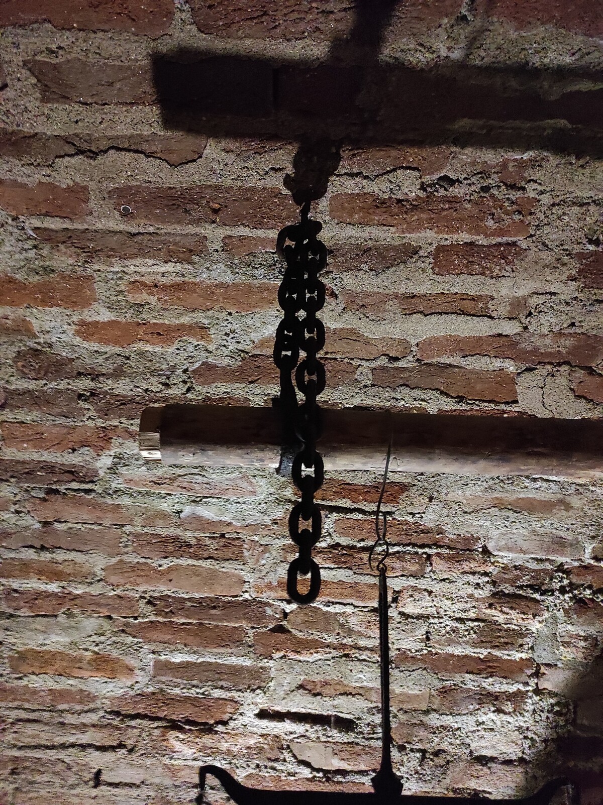 Potkany sa tlačili všade, kde bolo jedlo.