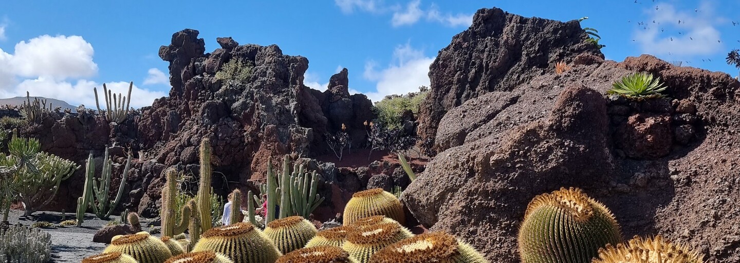 10 důvodů, proč jet na dovolenou na Lanzarote. Je to ostrov bez billboardů, kde ti rybu upečou nad vulkánem