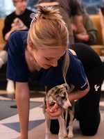 10 tipů na nehmotné dárky: Čím originálně potěšíš druhé, když nechceš nakupovat zbytečnosti?