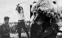 10 vojnových fotografií: „Druhý Adolf Hitler“, zamrznutí sovietski vojaci a poprava odseknutím hlavy