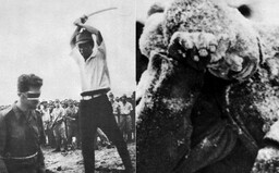 10 vojnových fotografií: „Druhý Adolf Hitler“, zamrznutí sovietski vojaci a poprava odseknutím hlavy