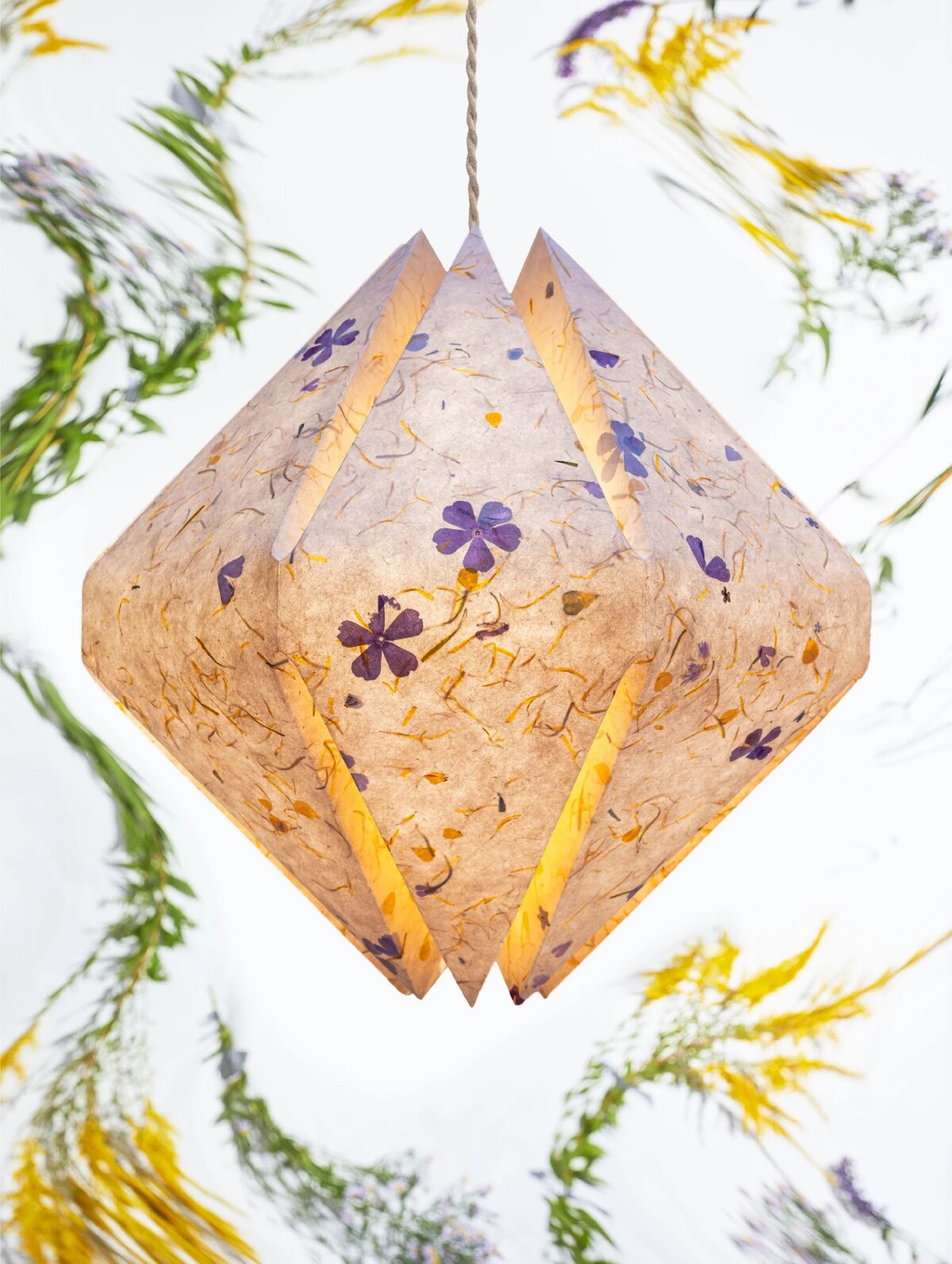 jasna lustr design lampa