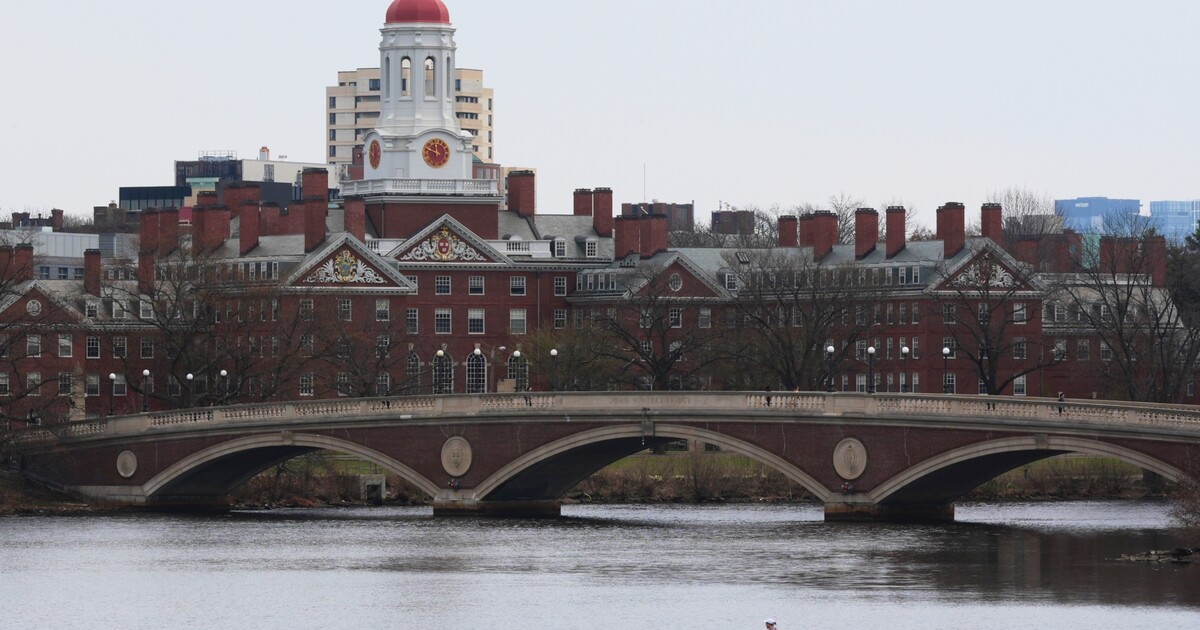 Sníš o studiu na Harvardu? Trump chce zakázat univerzitě přijímat studentstvo ze zahraničí