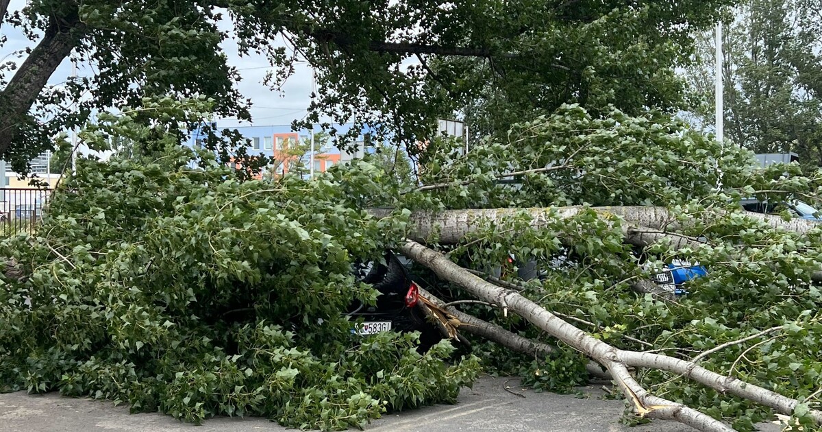Vo viacerých oblastiach Slovenska bude fúkať silný vietor. SHMÚ vydal výstrahy prvého stupňa
