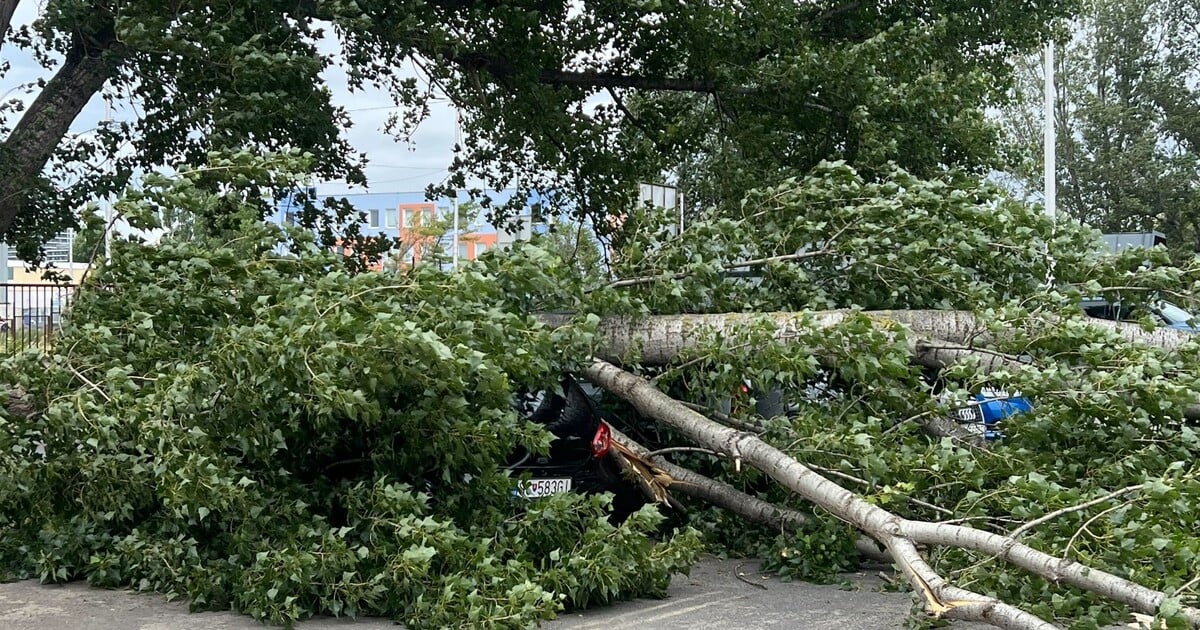 SHMÚ vydal výstrahu 1. stupňa: Vo viacerých okresoch Slovenska hrozí silný vietor až víchrica
