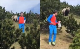 12-ročného chlapca prekvapil v lese medveď. Unikol mu len vďaka tomu, že zostal pokojný a pomaly sa vzdialil