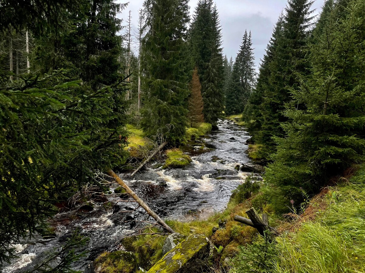 vylet priroda sumava polednik