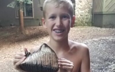 12letému chlapci se podařilo objevit vzácný mamutí zub. Může být starý i několik milionů let