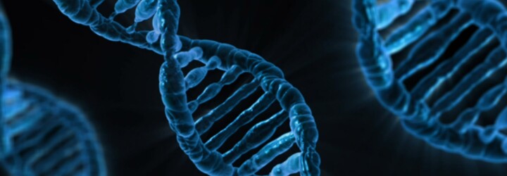 Dubaj chce odebírat vzorky DNA svým obyvatelům a skladovat je v obrovské databázi. Geny by měla analyzovat umělá inteligence