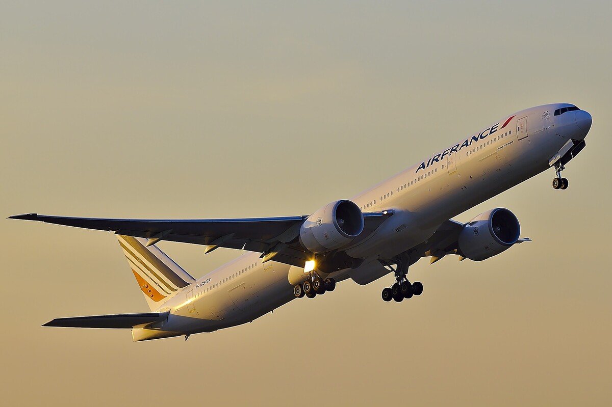 Letecká spoločnosť Air France povoľuje domáce zvieratá na palube svojich lietadiel.