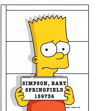 Jak zní celé jméno Barta?